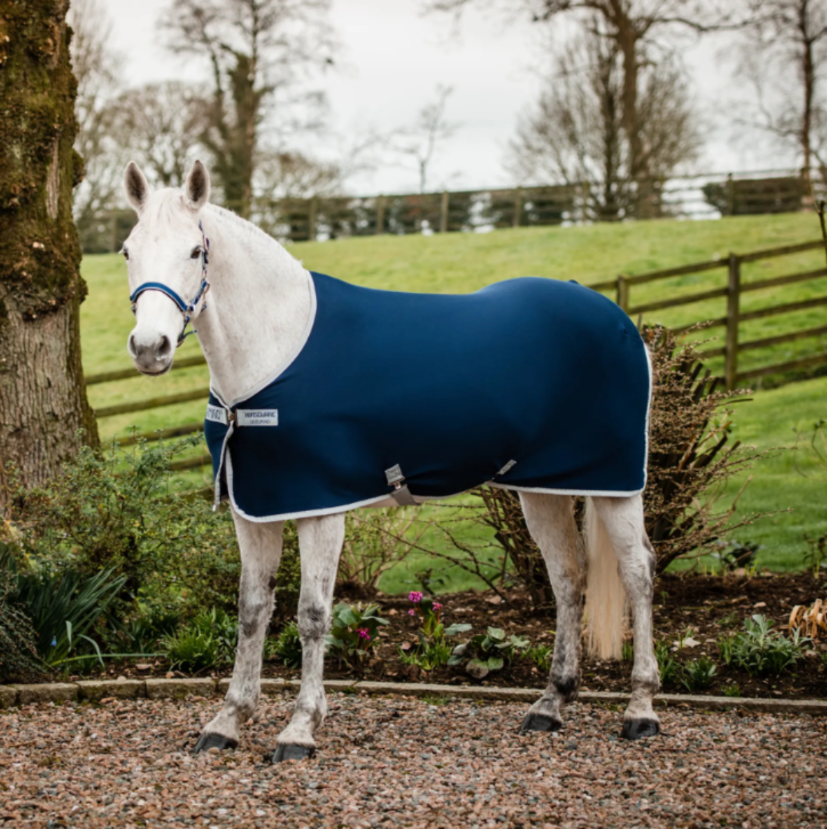 Horseware Ireland Amigo Jersey Cooler - Atlantic Blue/Ivory