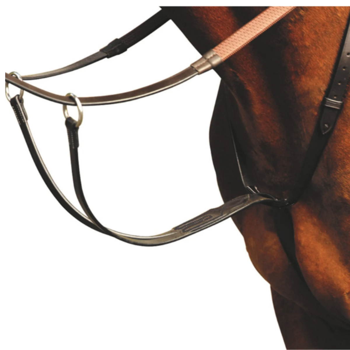 Mackey Classic Running Martingale - Black