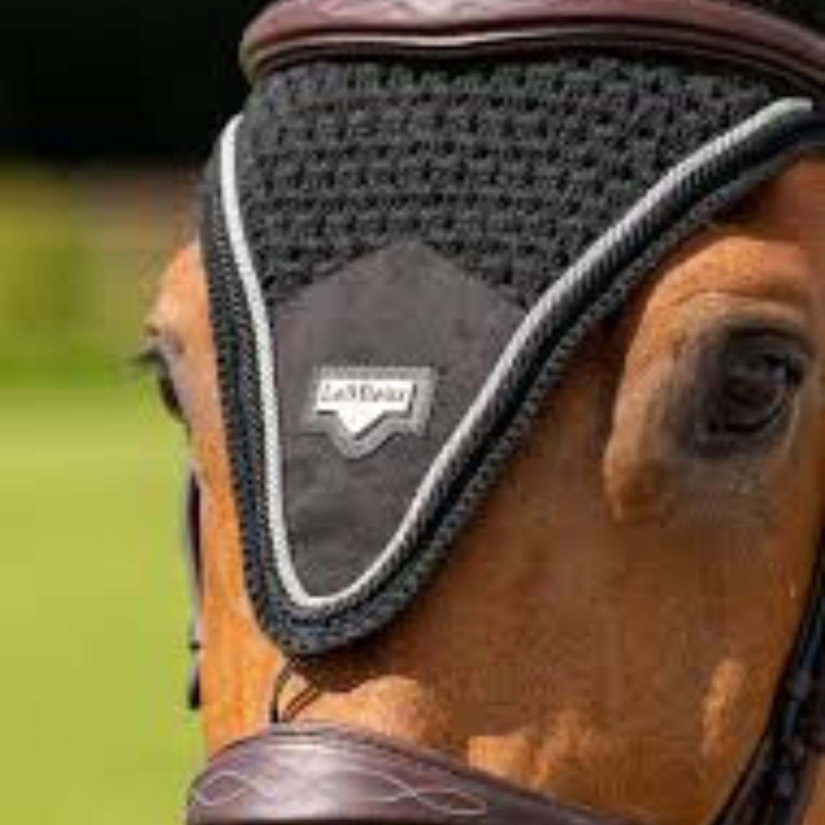 Horse Accessories