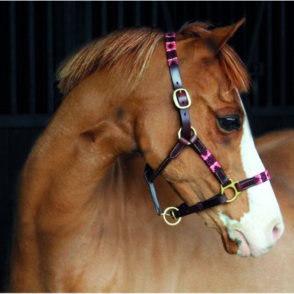 Headcollars & Lead Ropes