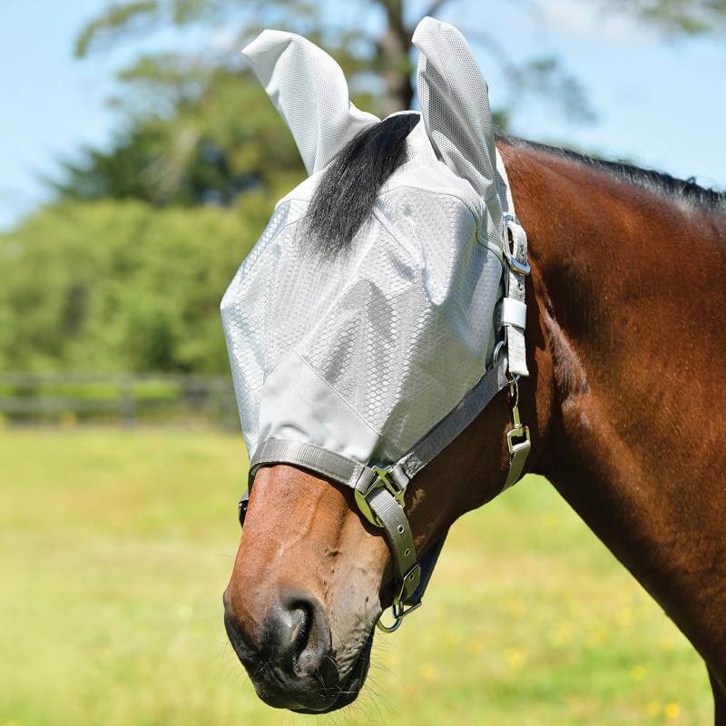 Fly Protection