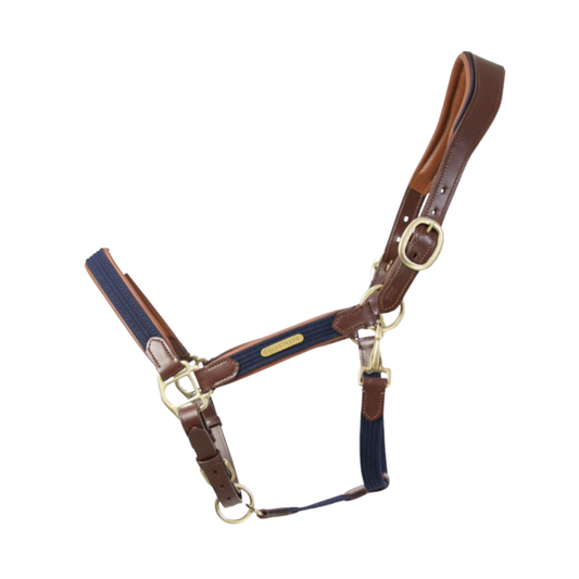 Coldstream Bathan Leather Headcollar - Tan/Navy