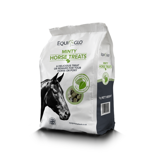 Equiglo Minty Horse Treats 1kg