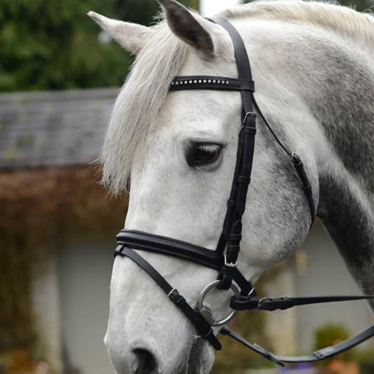 Equisential Bling Bridle - Black