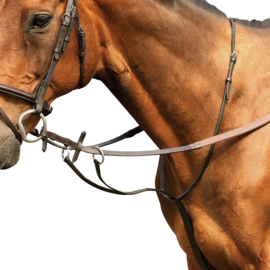 Equisential Running Martingale - Brown