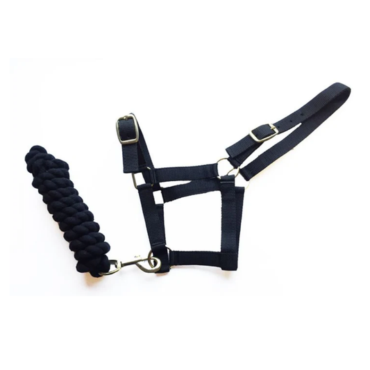 Harlequin Headcollar & Lead Rope Set