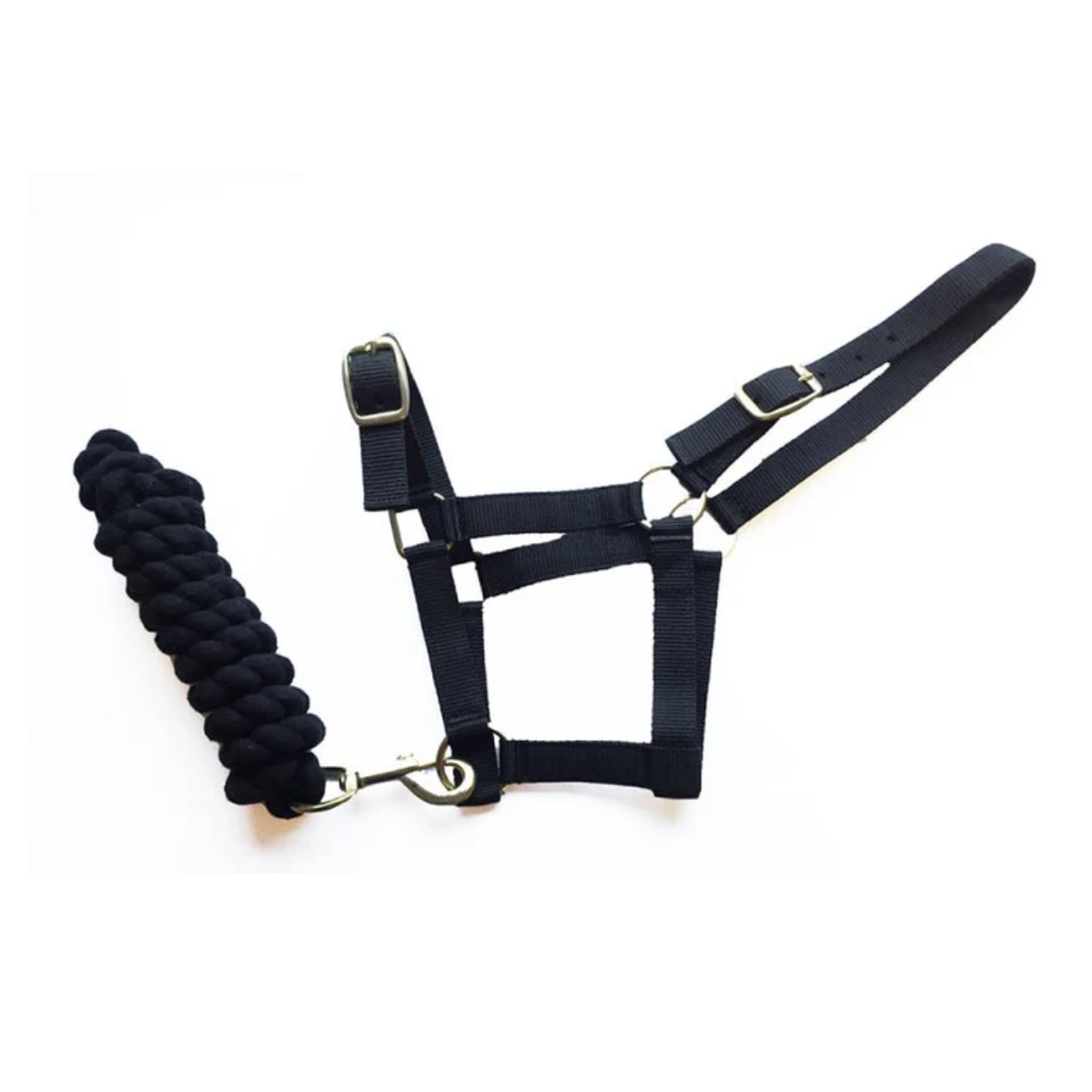 Harlequin Headcollar & Lead Rope Set