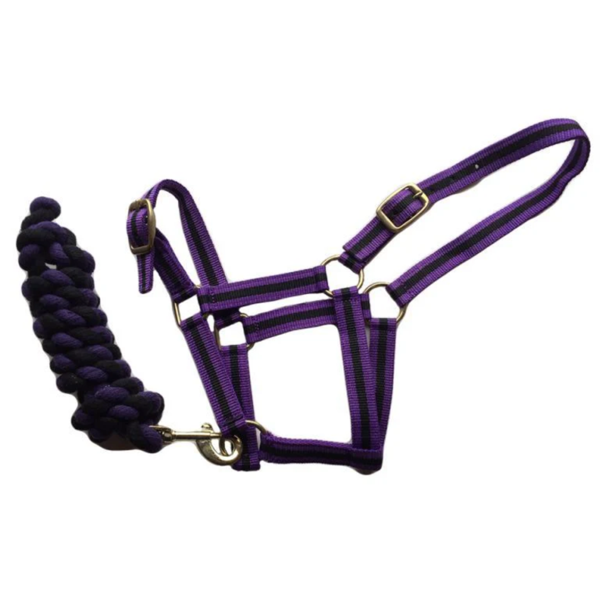 Harlequin Headcollar & Lead Rope Set