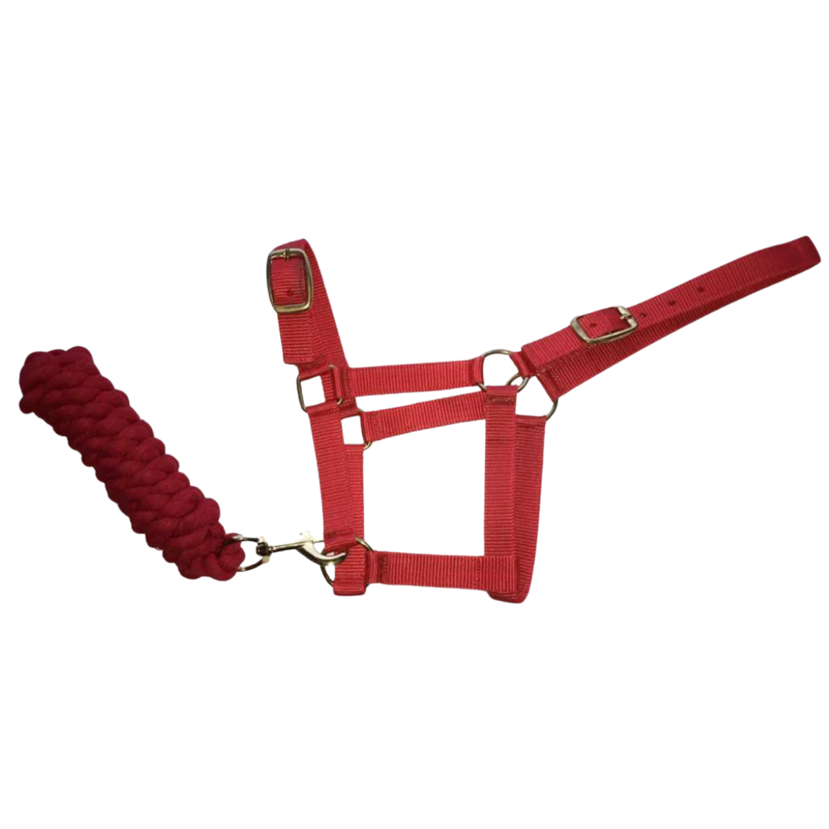 Harlequin Headcollar & Lead Rope Set