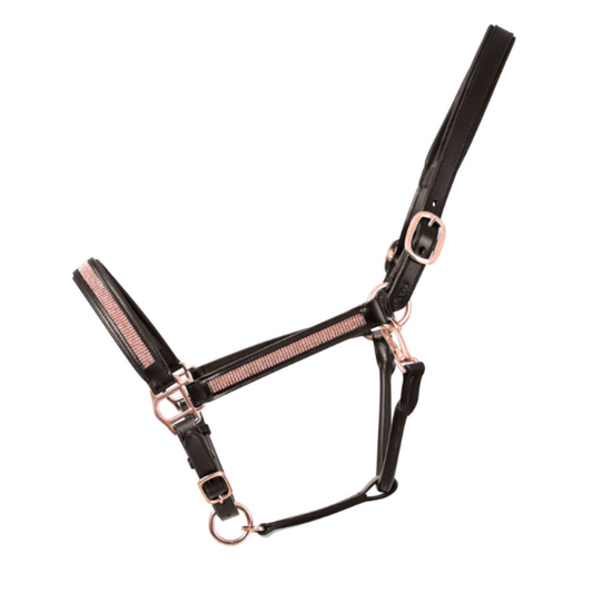 Hy Equestrian Rosciano Rose Gold Leather Headcollar