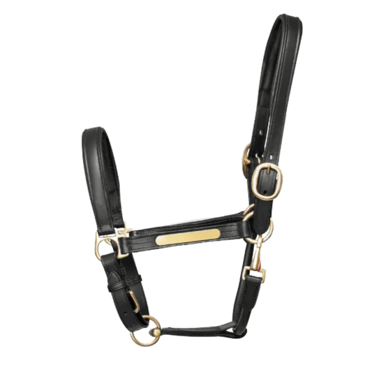 Hy Leather Headcollar - Black