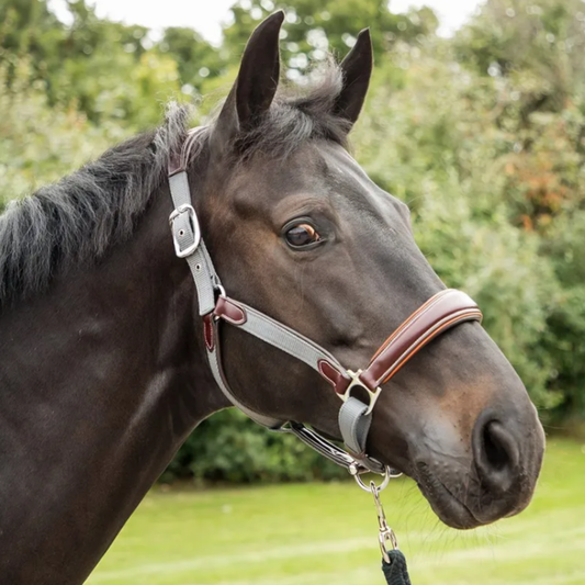 KM Elite Leather Webbing Headcollar - Havana/Grey