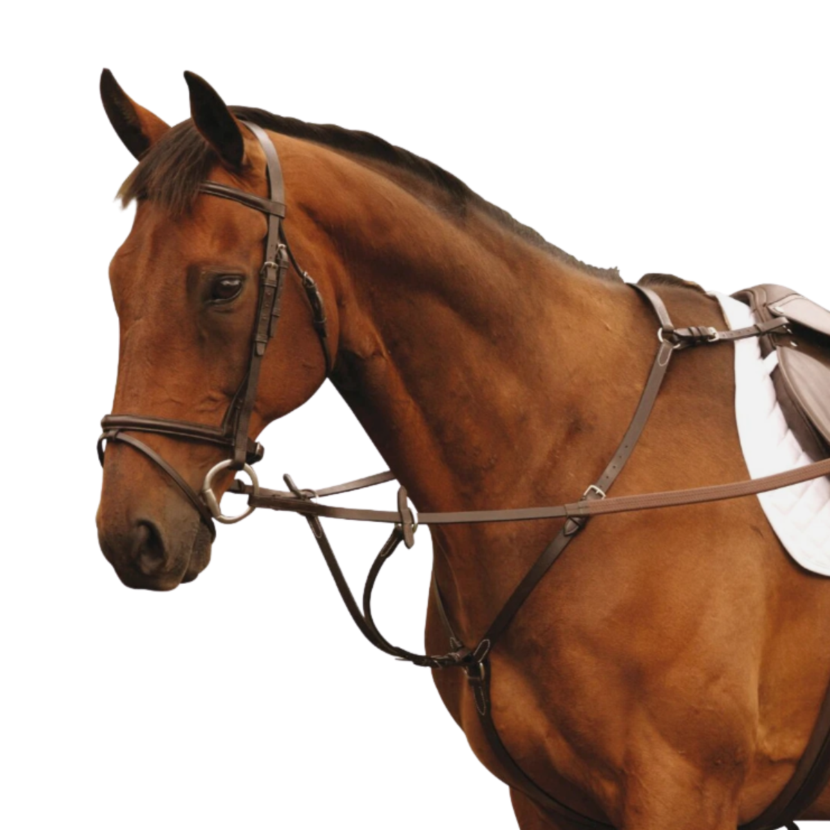 Mackey Classic Hunting Breastplate - Black