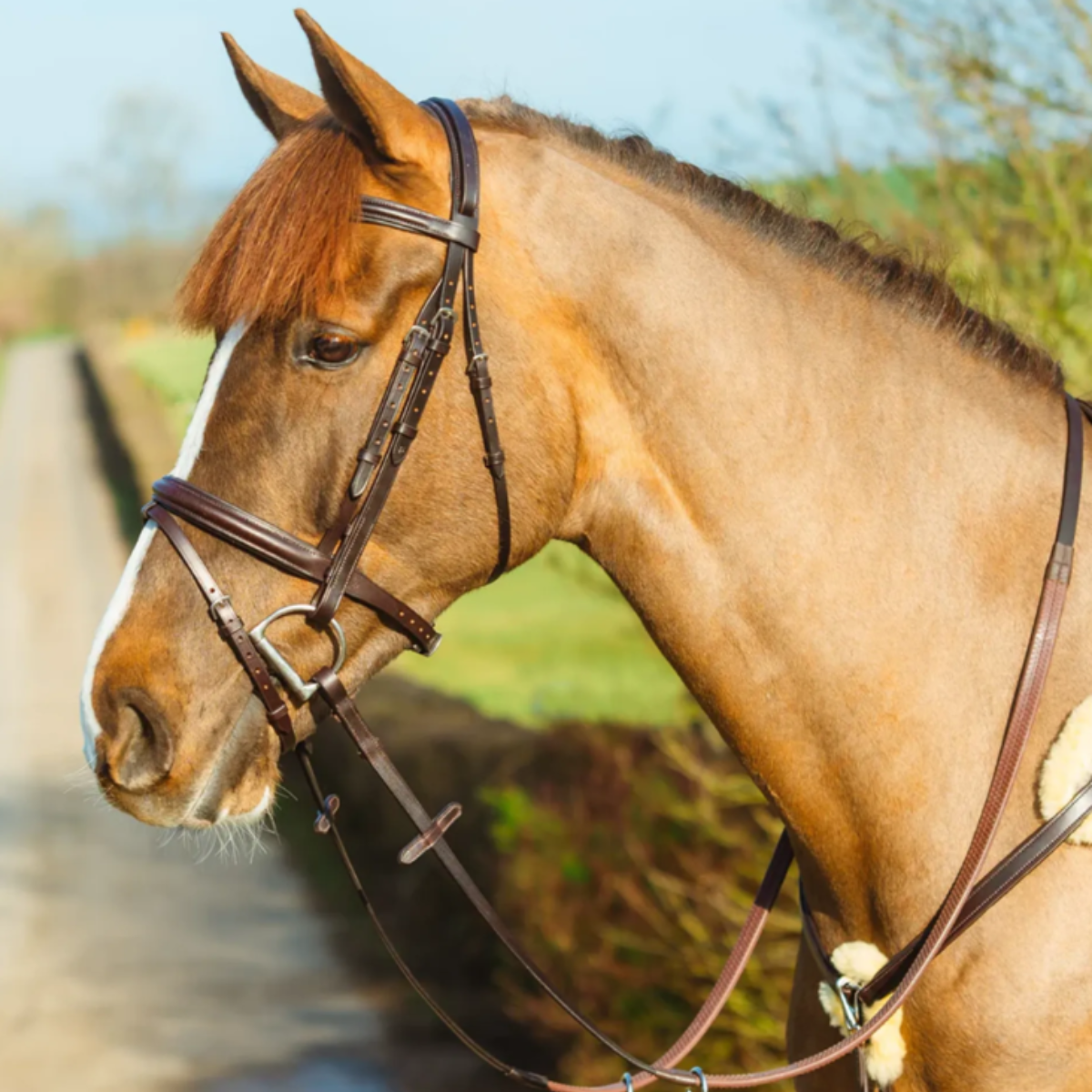 Mackey Classic Padded Flash Bridle With Reins - Brown