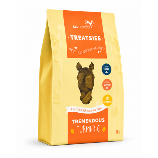 Silvermoor Treatsies - Tremendous Turmeric